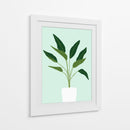 Cactus 28 - Vitor Costa | Cuadro decorativo de Canvas Lab