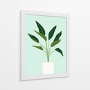 Cactus 28 - Vitor Costa | Cuadro decorativo de Canvas Lab