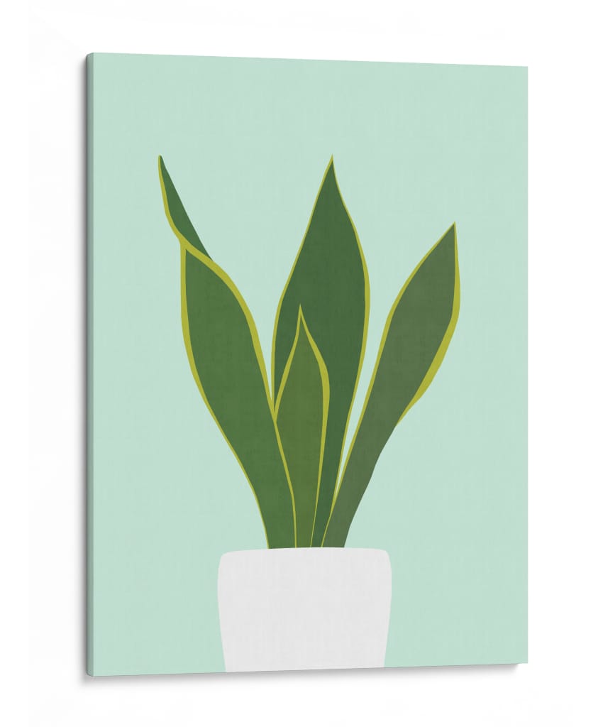 Cactus 29 - Vitor Costa | Cuadro decorativo de Canvas Lab