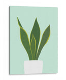 Cactus 29 - Vitor Costa | Cuadro decorativo de Canvas Lab