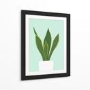 Cactus 29 - Vitor Costa | Cuadro decorativo de Canvas Lab