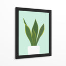 Cactus 29 - Vitor Costa | Cuadro decorativo de Canvas Lab