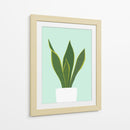 Cactus 29 - Vitor Costa | Cuadro decorativo de Canvas Lab