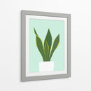 Cactus 29 - Vitor Costa | Cuadro decorativo de Canvas Lab