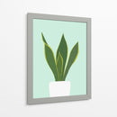 Cactus 29 - Vitor Costa | Cuadro decorativo de Canvas Lab