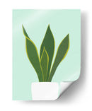 Cactus 29 - Vitor Costa | Cuadro decorativo de Canvas Lab