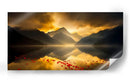 Camino de Pétalos - Caperh | Cuadro decorativo de Canvas Lab