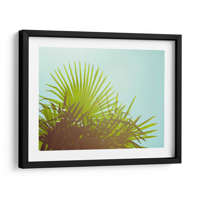 Sunny Palms I - Sonja Quintero | Cuadro decorativo de Canvas Lab