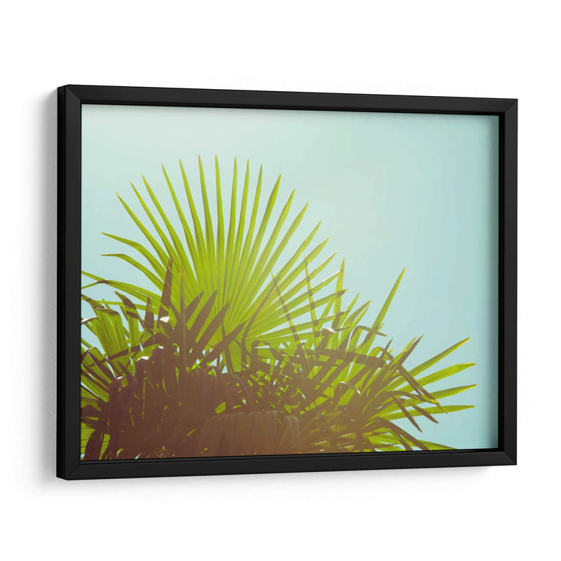 Sunny Palms I - Sonja Quintero | Cuadro decorativo de Canvas Lab