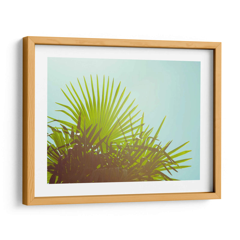 Sunny Palms I - Sonja Quintero | Cuadro decorativo de Canvas Lab