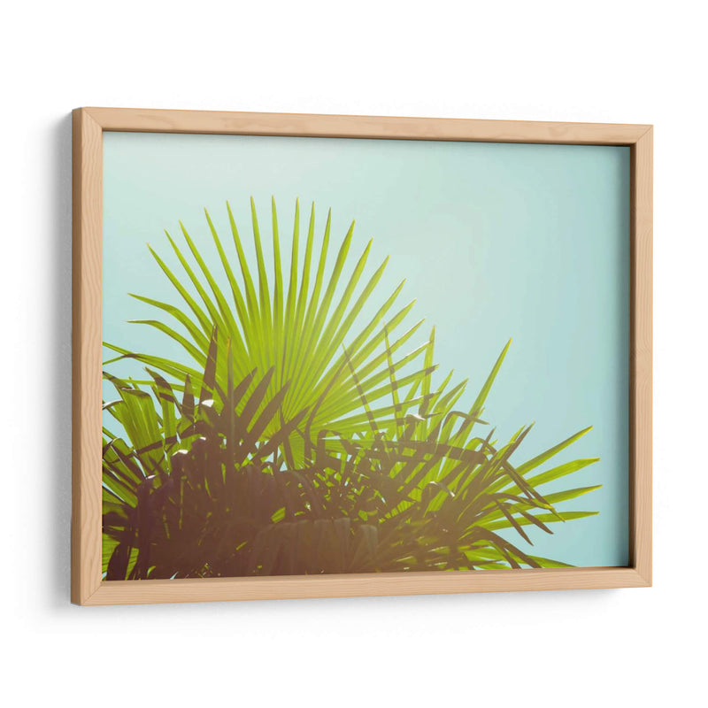 Sunny Palms I - Sonja Quintero | Cuadro decorativo de Canvas Lab