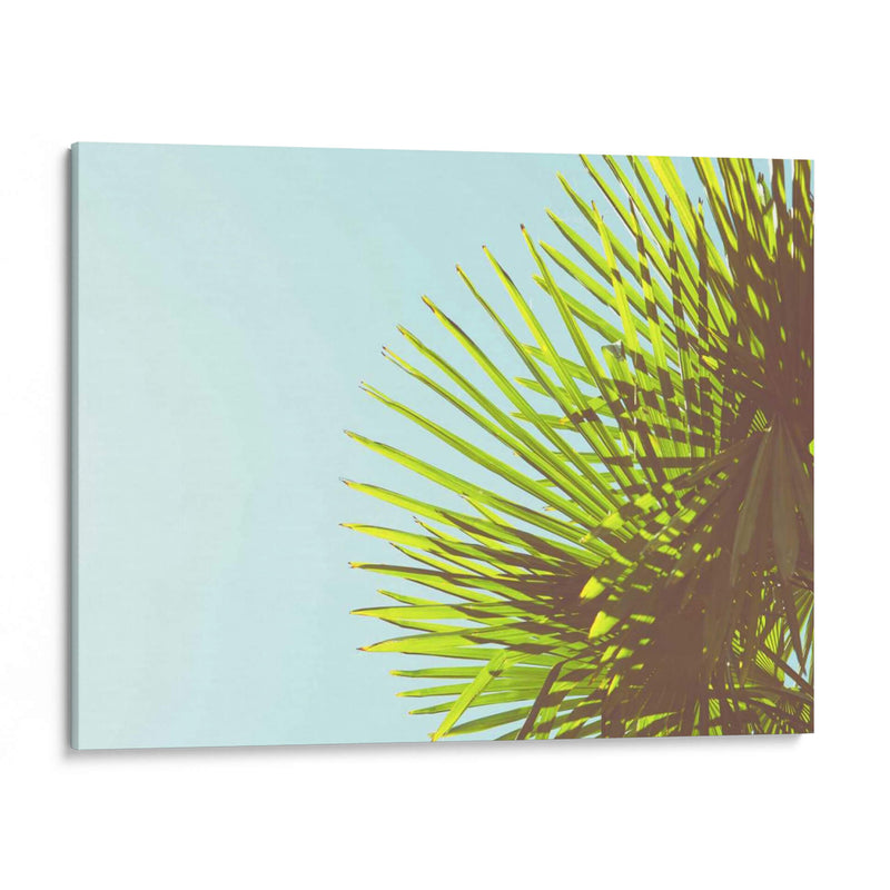 Sunny Palms Ii - Sonja Quintero | Cuadro decorativo de Canvas Lab