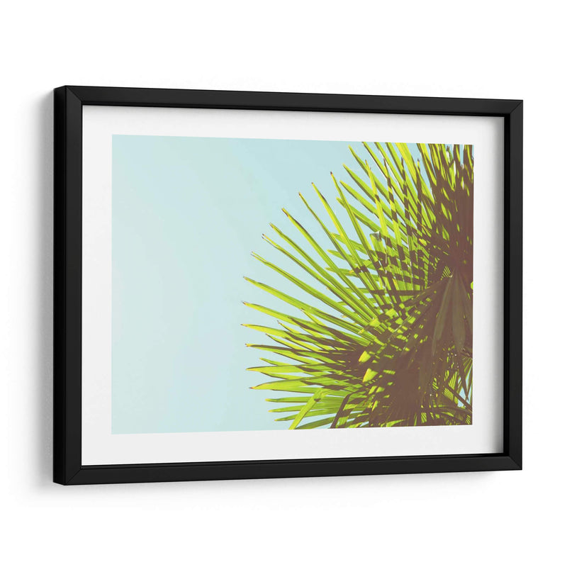 Sunny Palms Ii - Sonja Quintero | Cuadro decorativo de Canvas Lab