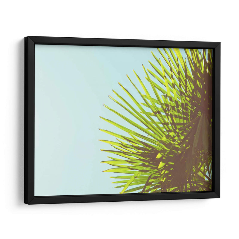 Sunny Palms Ii - Sonja Quintero | Cuadro decorativo de Canvas Lab