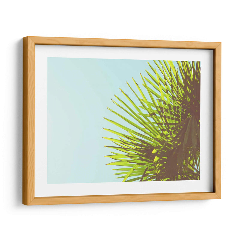 Sunny Palms Ii - Sonja Quintero | Cuadro decorativo de Canvas Lab