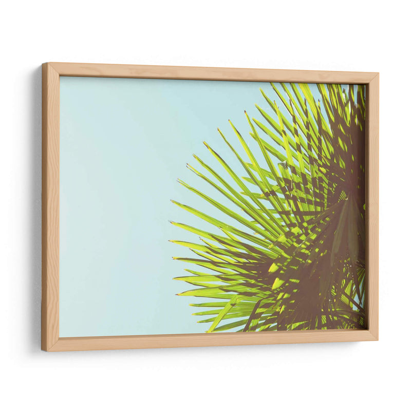 Sunny Palms Ii - Sonja Quintero | Cuadro decorativo de Canvas Lab