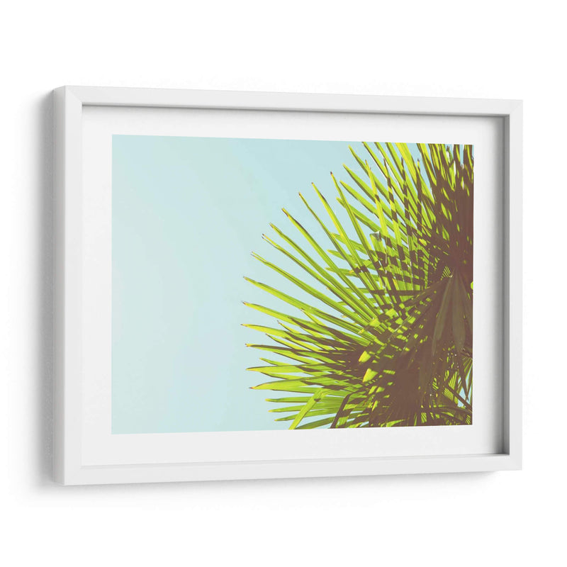 Sunny Palms Ii - Sonja Quintero | Cuadro decorativo de Canvas Lab