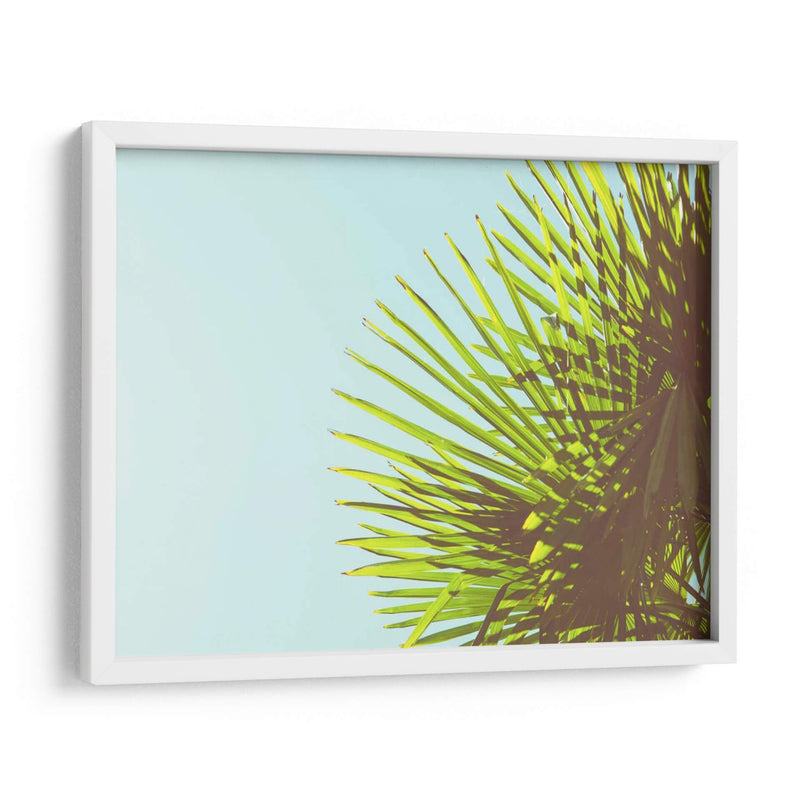 Sunny Palms Ii - Sonja Quintero | Cuadro decorativo de Canvas Lab