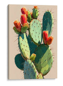 Nopales - DIEGO D L | Cuadro decorativo de Canvas Lab