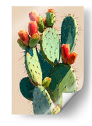 Nopales - DIEGO D L | Cuadro decorativo de Canvas Lab