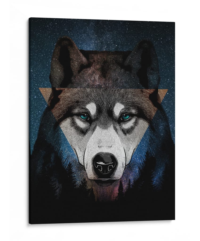 Alfa Celestial - Sae Art | Cuadro decorativo de Canvas Lab