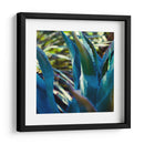 Vibes Suculentos Ii - Sonja Quintero | Cuadro decorativo de Canvas Lab