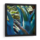 Vibes Suculentos Ii - Sonja Quintero | Cuadro decorativo de Canvas Lab