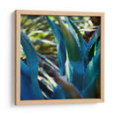 Vibes Suculentos Ii - Sonja Quintero | Cuadro decorativo de Canvas Lab