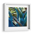 Vibes Suculentos Ii - Sonja Quintero | Cuadro decorativo de Canvas Lab