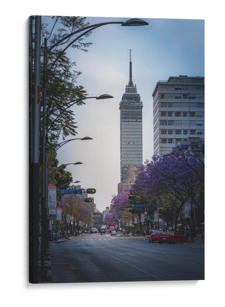 Jacarandas hacia la Torre - Ulises Páez | Cuadro decorativo de Canvas Lab