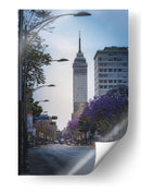 Jacarandas hacia la Torre - Ulises Páez | Cuadro decorativo de Canvas Lab