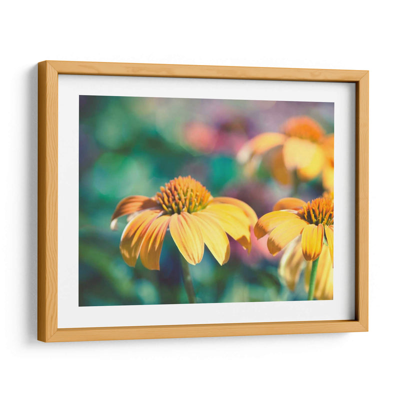 Mellow Yellows Ii - Sonja Quintero | Cuadro decorativo de Canvas Lab