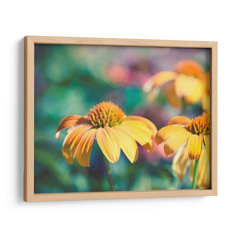 Mellow Yellows Ii - Sonja Quintero | Cuadro decorativo de Canvas Lab