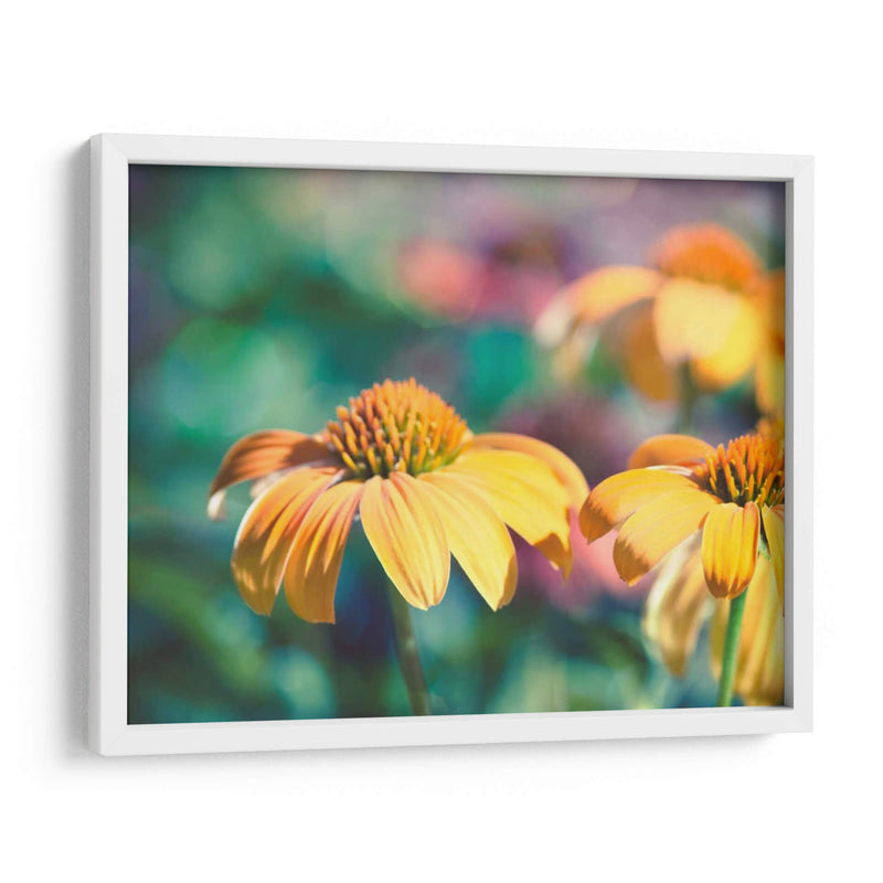 Mellow Yellows Ii - Sonja Quintero | Cuadro decorativo de Canvas Lab