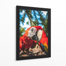 La mirada escarlata - Ulises Páez | Cuadro decorativo de Canvas Lab