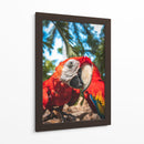 La mirada escarlata - Ulises Páez | Cuadro decorativo de Canvas Lab