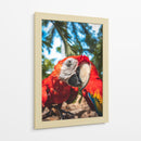 La mirada escarlata - Ulises Páez | Cuadro decorativo de Canvas Lab