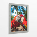 La mirada escarlata - Ulises Páez | Cuadro decorativo de Canvas Lab