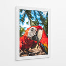 La mirada escarlata - Ulises Páez | Cuadro decorativo de Canvas Lab