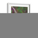 Pullares Púrpuras I - Sonja Quintero | Cuadro decorativo de Canvas Lab