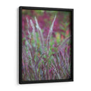 Plumes Purple Ii - Sonja Quintero | Cuadro decorativo de Canvas Lab