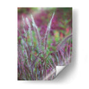 Plumes Purple Ii - Sonja Quintero | Cuadro decorativo de Canvas Lab