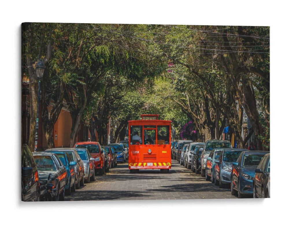 Ruta de Coyoacán - Ulises Páez | Cuadro decorativo de Canvas Lab
