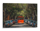 Ruta de Coyoacán - Ulises Páez | Cuadro decorativo de Canvas Lab