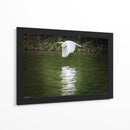 Vuelo Rasante - Ulises Páez | Cuadro decorativo de Canvas Lab