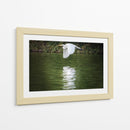Vuelo Rasante - Ulises Páez | Cuadro decorativo de Canvas Lab