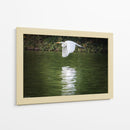 Vuelo Rasante - Ulises Páez | Cuadro decorativo de Canvas Lab