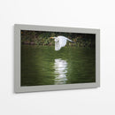Vuelo Rasante - Ulises Páez | Cuadro decorativo de Canvas Lab