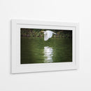 Vuelo Rasante - Ulises Páez | Cuadro decorativo de Canvas Lab