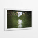 Vuelo Rasante - Ulises Páez | Cuadro decorativo de Canvas Lab
